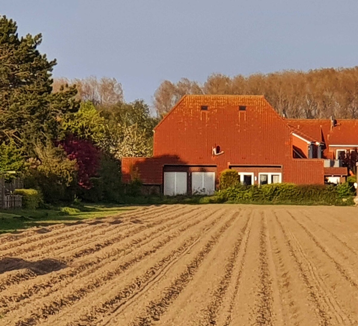 Dreas Huus 3
